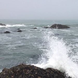 Meet your Posher, Adrian